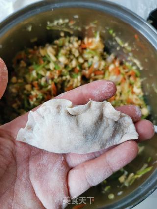 西葫芦虾仁全麦蒸饺的做法步骤:8