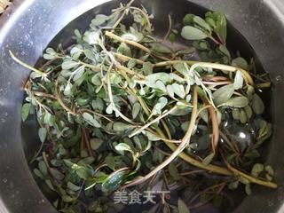 马齿苋汁的做法步骤:3