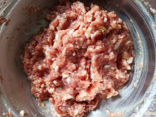 鲜肉包子的做法步骤:2