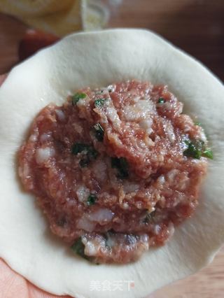 鲜肉包子的做法步骤:6