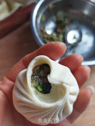 鲜肉包子的做法步骤:7