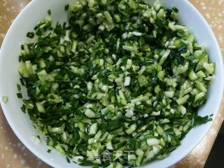 虾仁丝瓜饺子的做法步骤:5