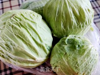 猪肉洋白菜水饺的做法步骤:2