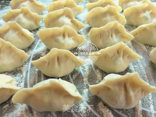 黄瓜虾仁水饺的做法步骤:19