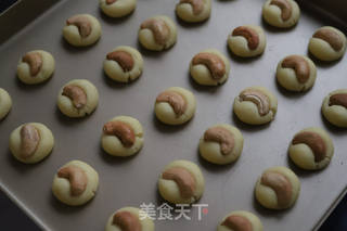 腰果酥的做法步骤:6
