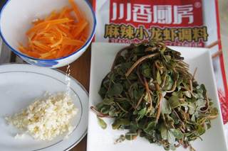 麻辣马齿苋的做法步骤:5