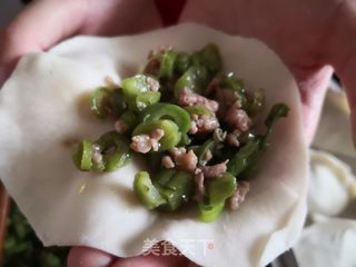 芸豆蒸饺的做法步骤:8
