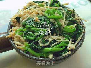 凉拌金针菇菠菜的做法步骤：15