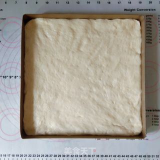 松软咸香的肉松面包卷的做法步骤:7