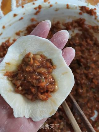 猪肉胡萝卜水饺的做法步骤:6