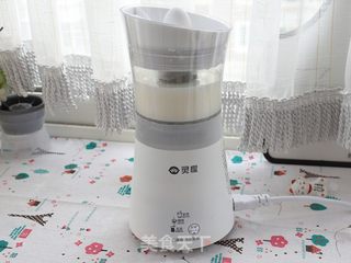 珍珠奶茶草莓冻的做法步骤:6