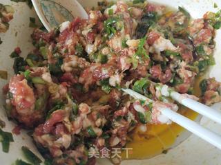 茴香猪肉馅水饺的做法步骤:5