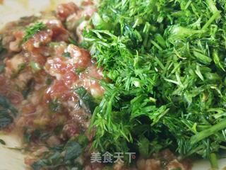 茴香猪肉馅水饺的做法步骤:6