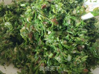 茴香猪肉馅水饺的做法步骤:7