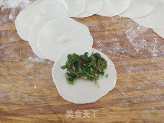 茴香猪肉馅水饺的做法步骤:8