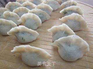 茴香猪肉馅水饺的做法步骤:9