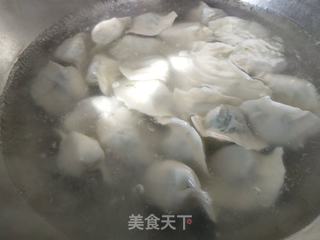 茴香猪肉馅水饺的做法步骤:10