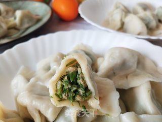 茴香猪肉馅水饺的做法步骤:11