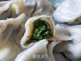 茴香猪肉馅水饺的做法步骤:13