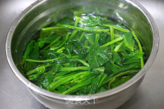 凉拌菠菜粉丝的做法步骤:13