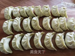猪肉黄瓜韭菜饺的做法步骤:11