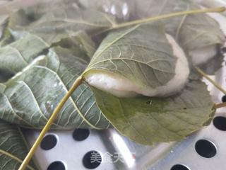 玻璃叶饼的做法步骤:8