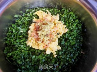 韭菜鸡蛋水饺的做法步骤:6