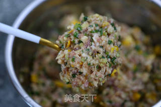 莲藕玉米芹菜肉饺子的做法步骤:17