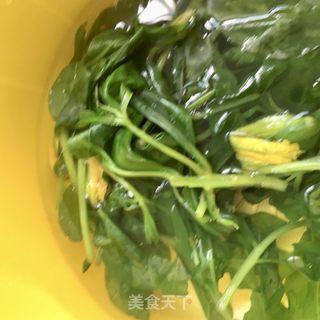 “凉菜”鸽肉拌人参苗的做法步骤：7