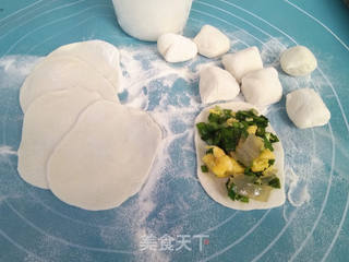 粉条韭菜馅煎饺 的做法步骤:8
