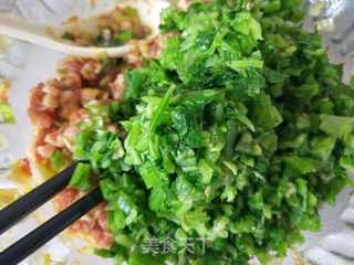 青椒芹菜猪肉包子的做法步骤:5