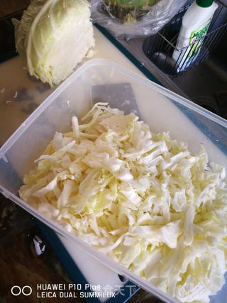 简易版朝鲜辣白菜的做法步骤:3