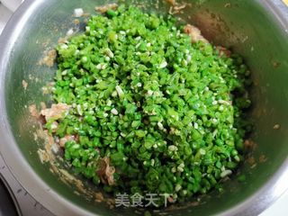 豇豆馅包子的做法步骤:6