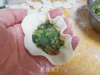 猪肉小白菜馅饺子的做法步骤:10