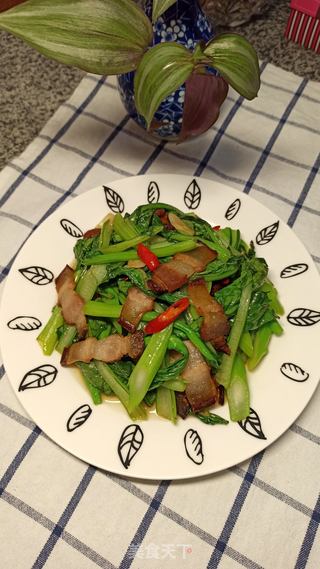 腊肉炒菜心的做法步骤:10