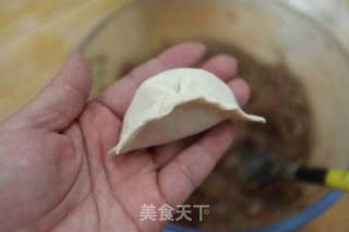 白萝卜牛肉杂粮饺子的做法步骤：13