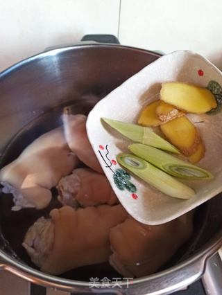 猪蹄肉冻的做法步骤:4