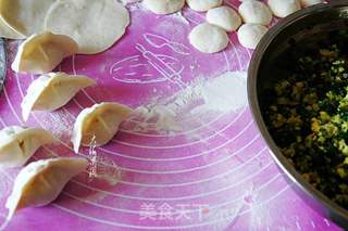 韭菜鸡蛋火腿肠馅水饺的做法步骤:5