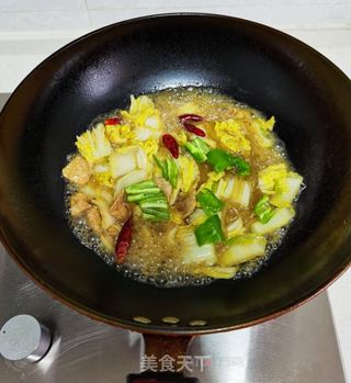 白菜粉条炖肉片的做法步骤：9