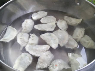 猪肉韭菜馅水饺的做法步骤:8
