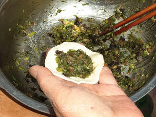 茴香猪肉馅水饺的做法步骤:7