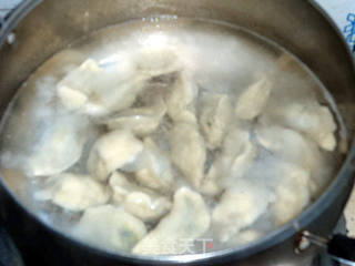 茴香猪肉馅水饺的做法步骤:9