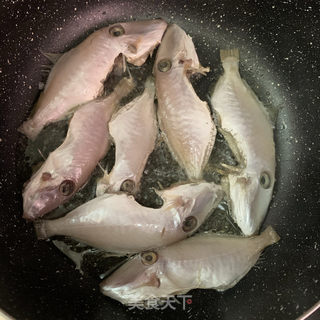 番茄焖剥皮鱼的做法步骤：4