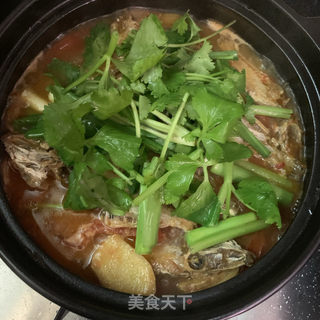 番茄焖剥皮鱼的做法步骤：11