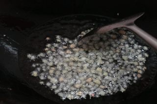 蒜苔炒肉的做法步骤：5