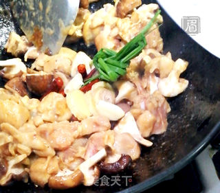 红烧鸡块的做法步骤:7