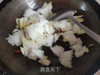 白菜炒鸡肉的做法步骤:7