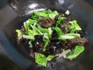 青菜炒黑木耳的做法步骤：6