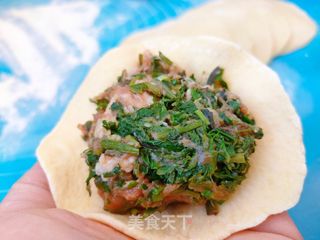 南瓜菜团子的做法步骤:5