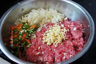 马肉馅水饺的做法步骤:2